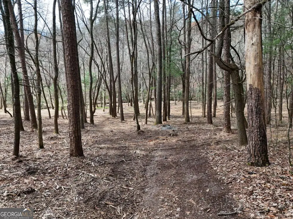 LOT 45B Synacia DR Mineral Bluff, GA 30559