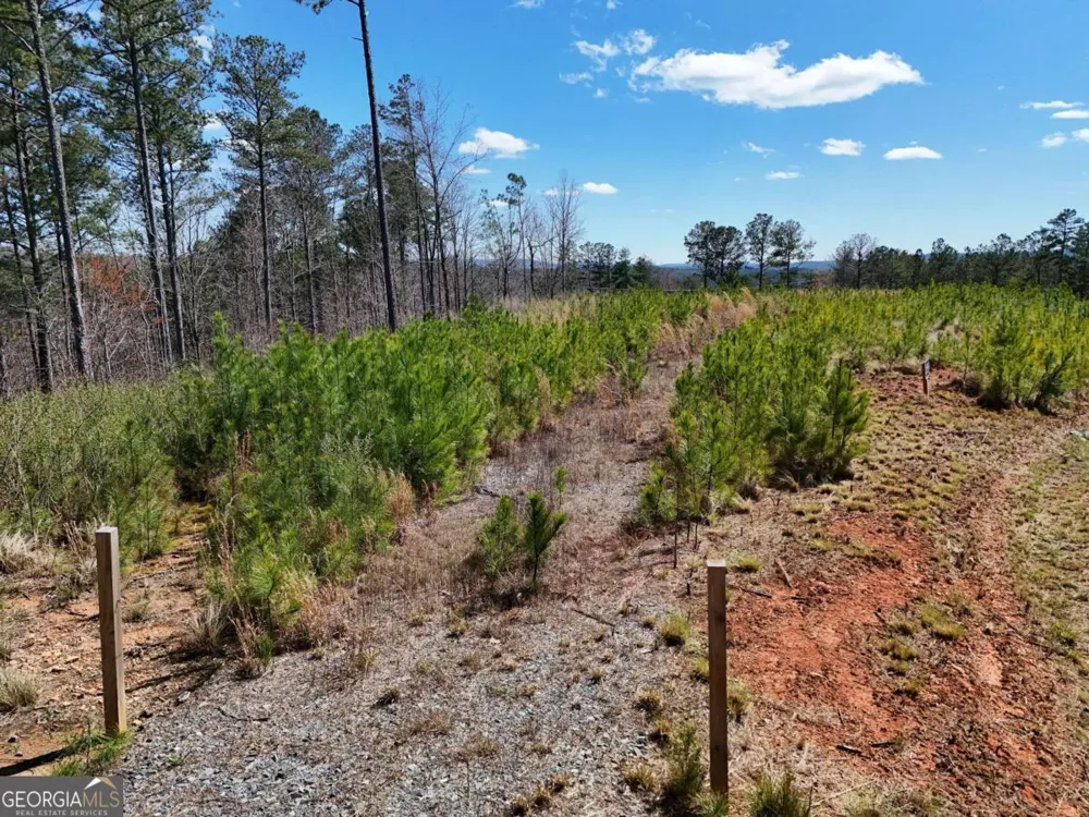 155 Shallow Water TRL Talking Rock, GA 30175