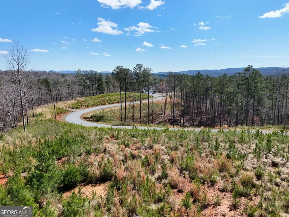 155 Shallow Water TRL Talking Rock, GA 30175