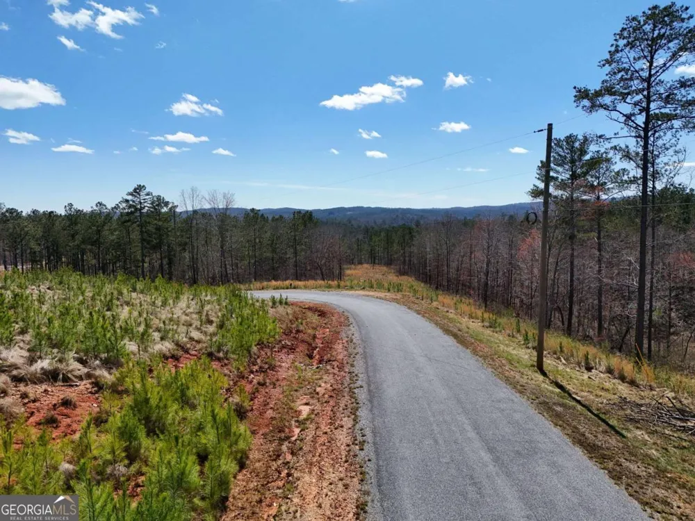 155 Shallow Water TRL Talking Rock, GA 30175
