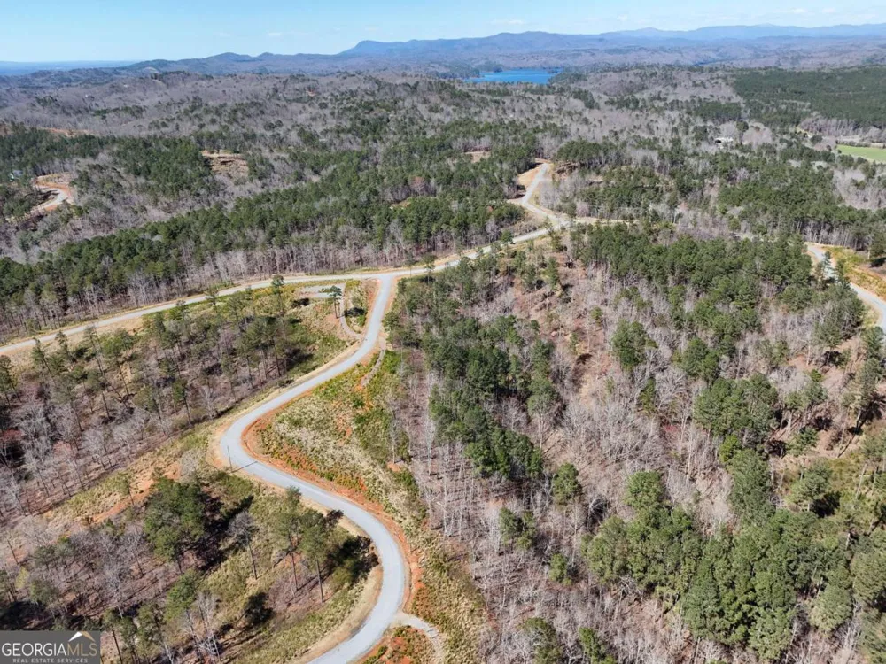 155 Shallow Water TRL Talking Rock, GA 30175