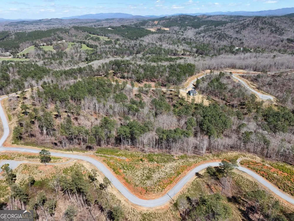 155 Shallow Water TRL Talking Rock, GA 30175