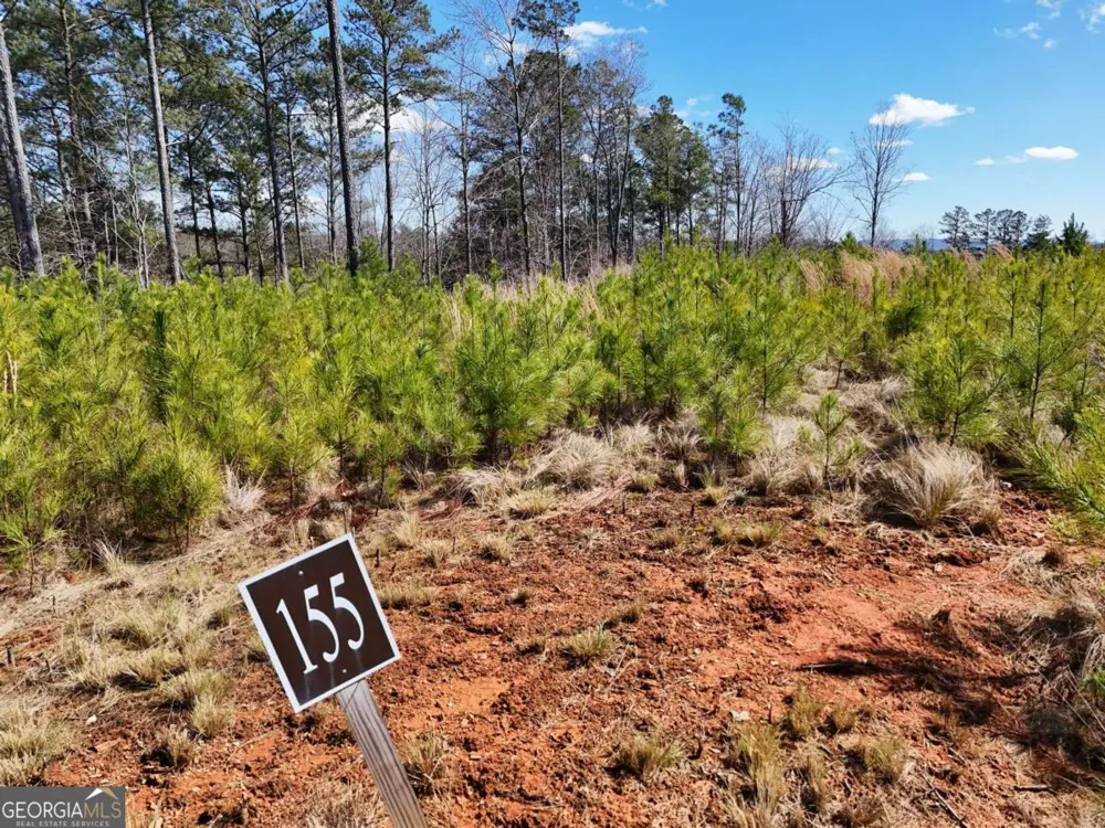 155 Shallow Water TRL Talking Rock, GA 30175
