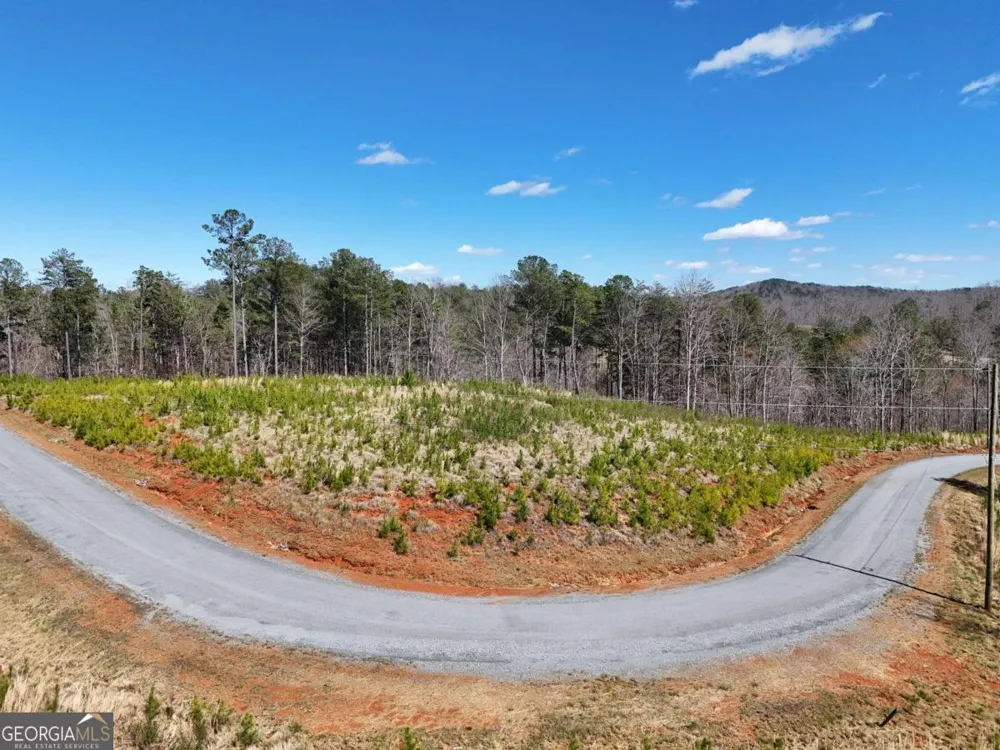 155 Shallow Water TRL Talking Rock, GA 30175
