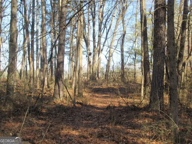 5050 Stateline RD Bowdon, GA 30108