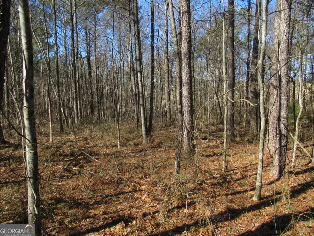5060 Stateline RD Bowdon, GA 30108