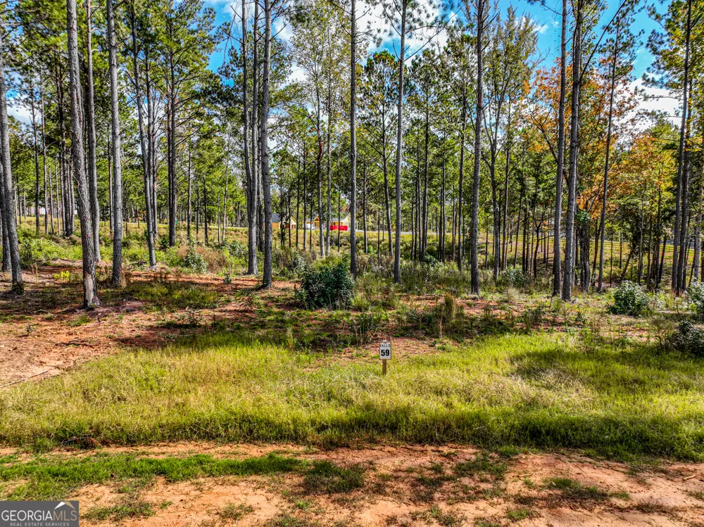 405 White Oak Cove Milledgeville, GA 31061
