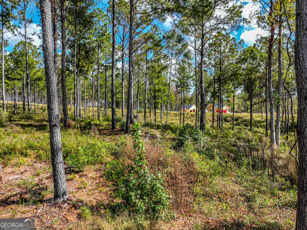 405 White Oak Cove Milledgeville, GA 31061