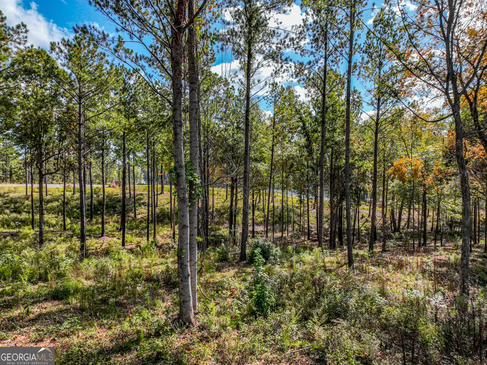 405 White Oak Cove Milledgeville, GA 31061