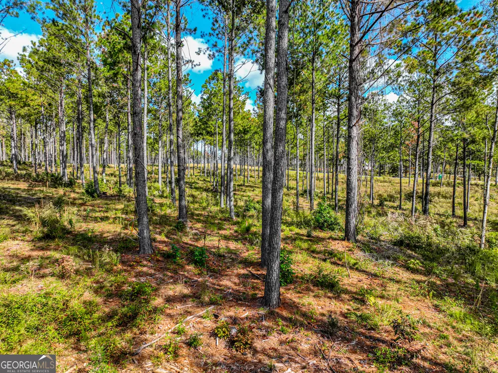 405 White Oak Cove Milledgeville, GA 31061