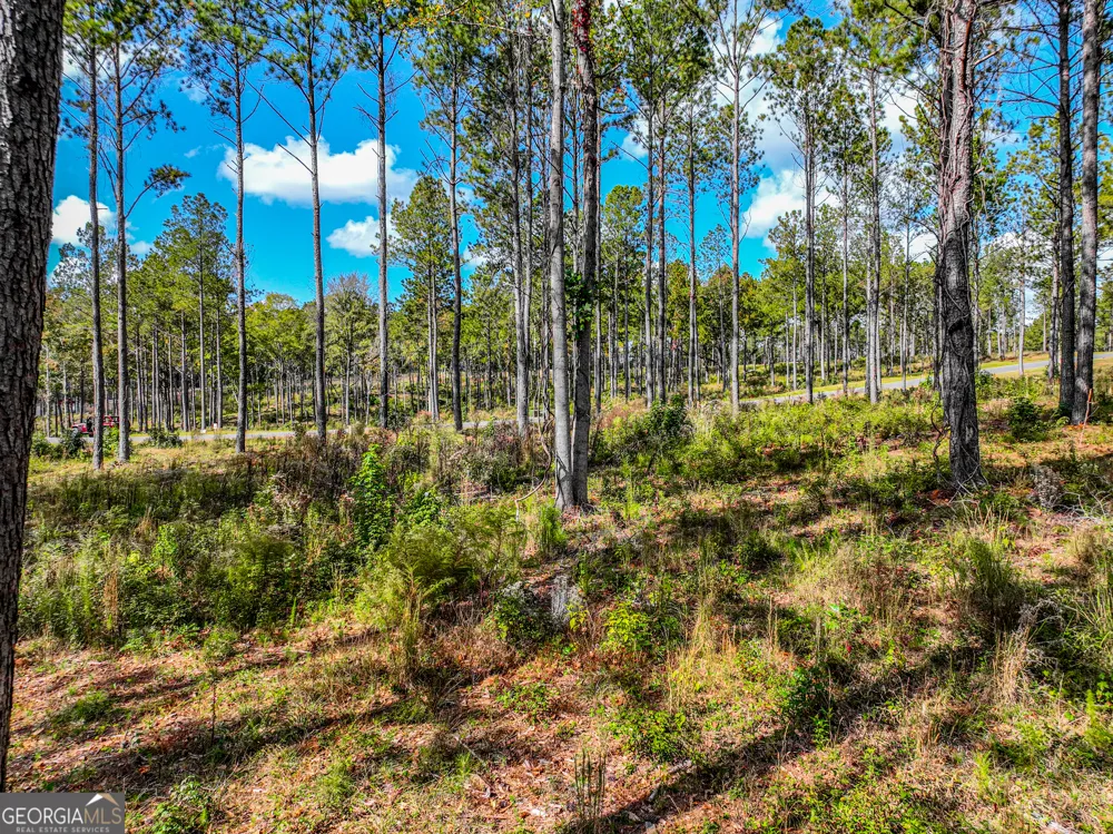 405 White Oak Cove Milledgeville, GA 31061
