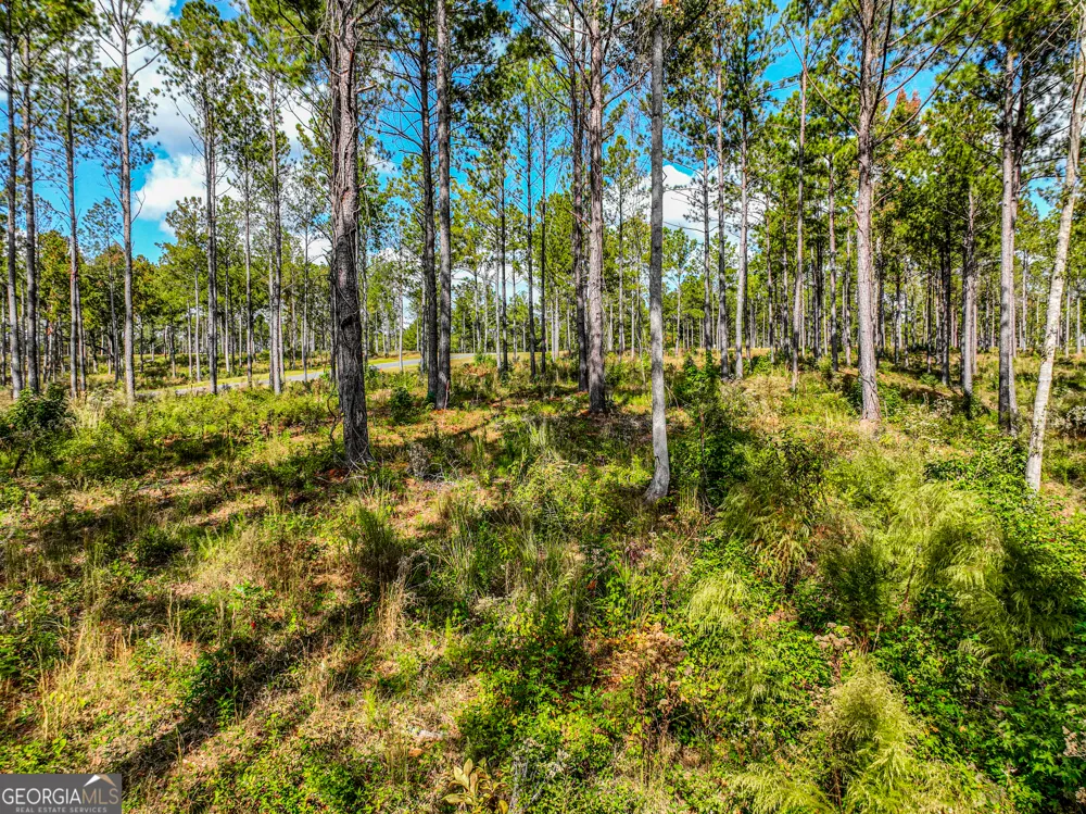 405 White Oak Cove Milledgeville, GA 31061