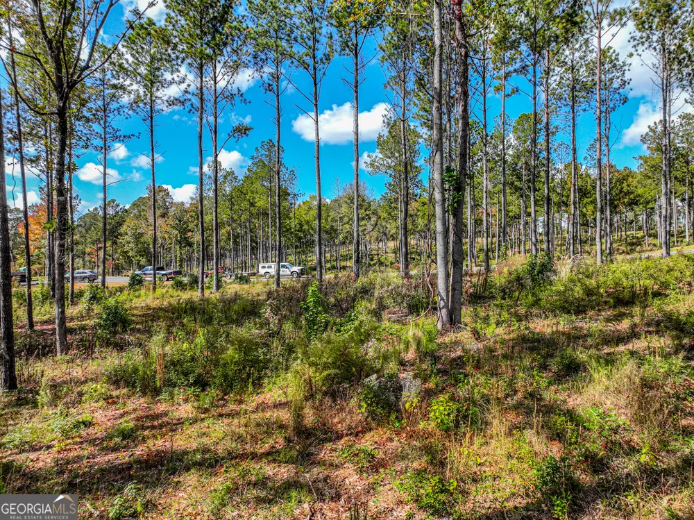 405 White Oak Cove Milledgeville, GA 31061