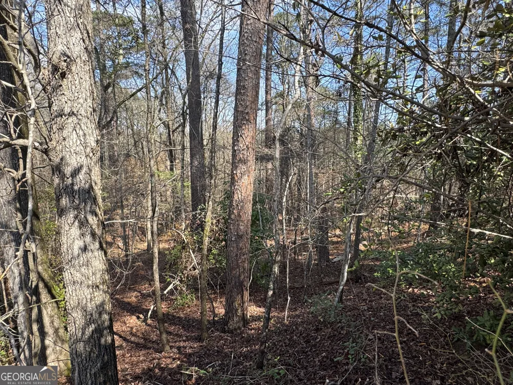 1954 Wood Valley RD Macon, GA 31211