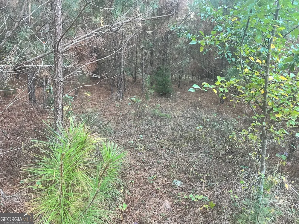 0 Plantation RD McDonough, GA 30252