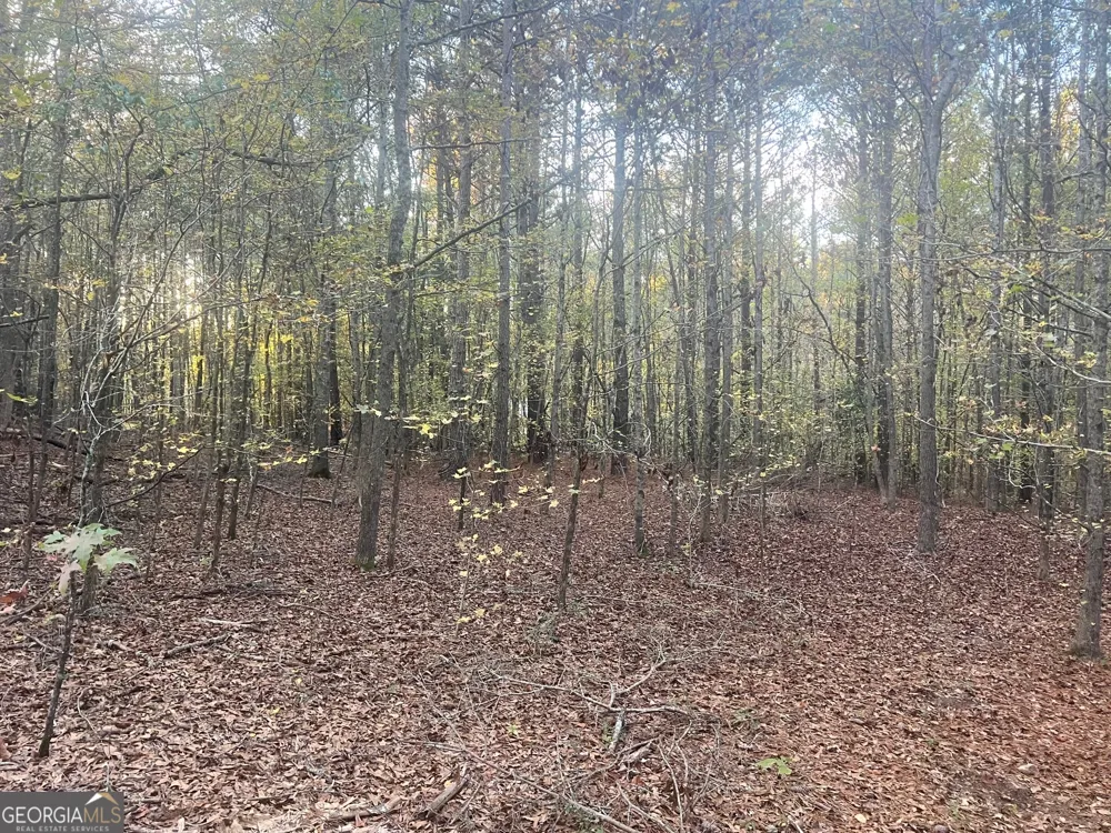 0 Plantation RD McDonough, GA 30252