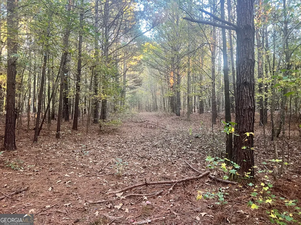 0 Plantation RD McDonough, GA 30252