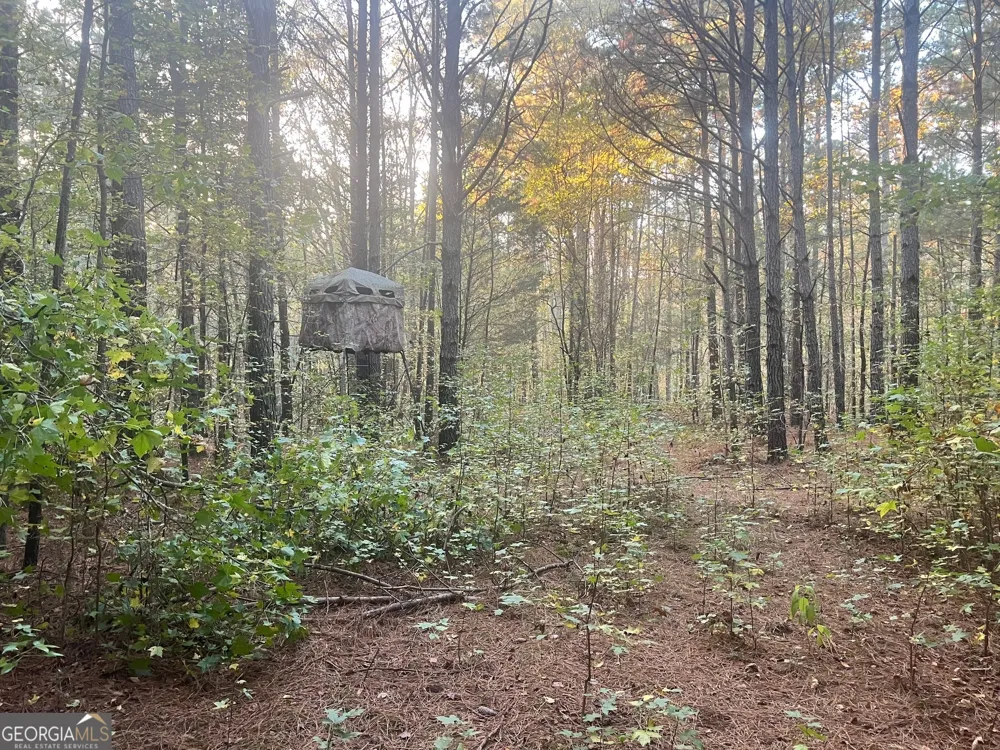 0 Plantation RD McDonough, GA 30252