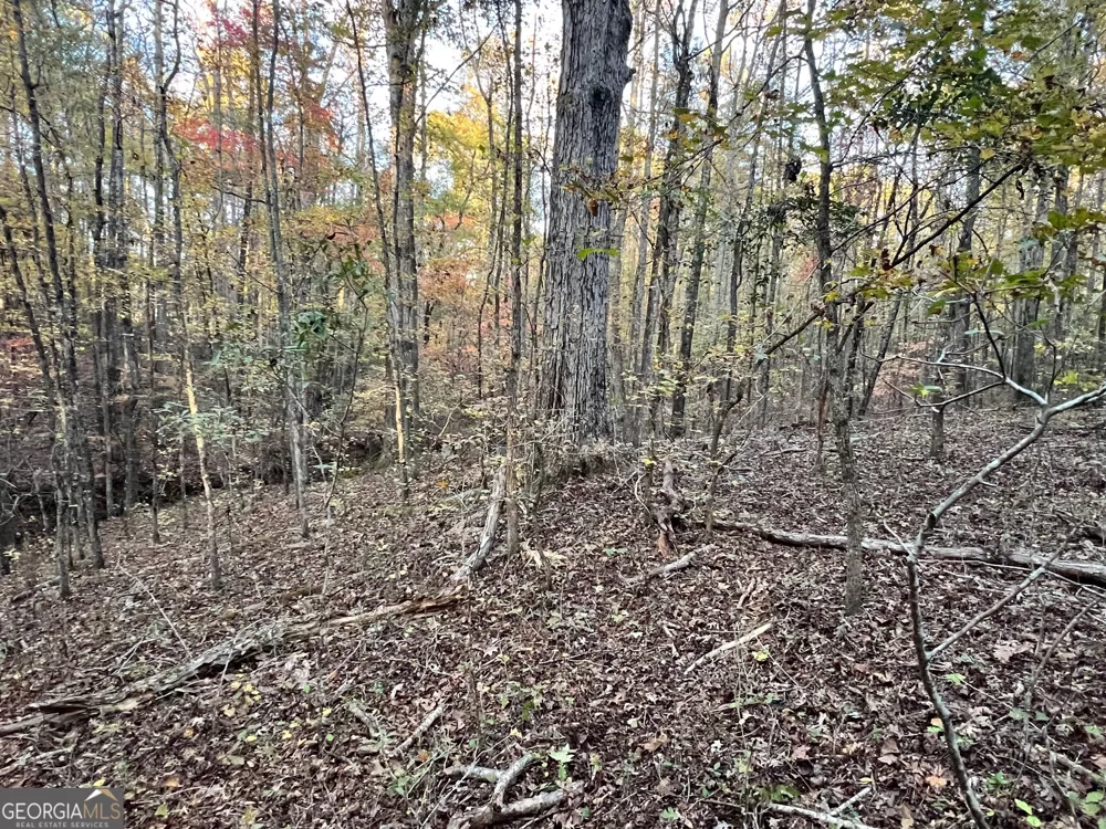 0 Plantation RD McDonough, GA 30252
