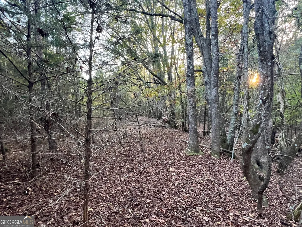 0 Plantation RD McDonough, GA 30252