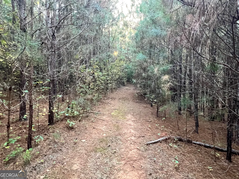 0 Plantation RD McDonough, GA 30252