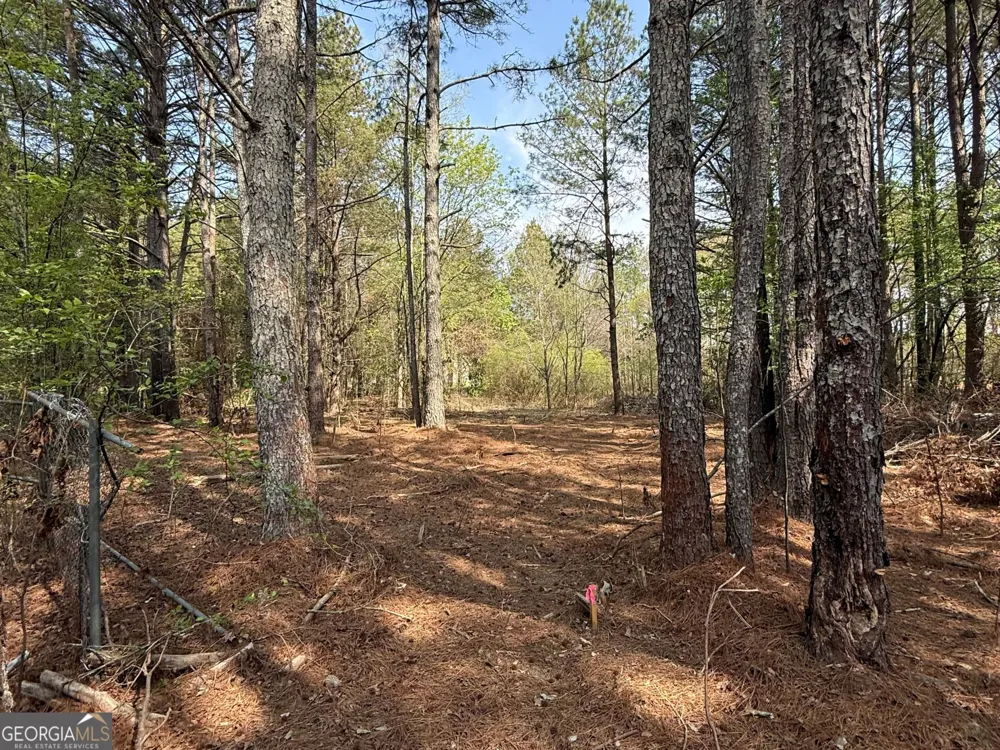 265 W Union Grove CIR Auburn, GA 30011