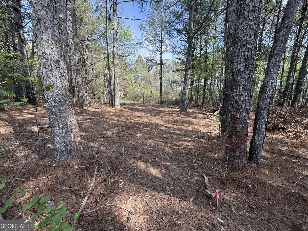 265 W Union Grove CIR Auburn, GA 30011