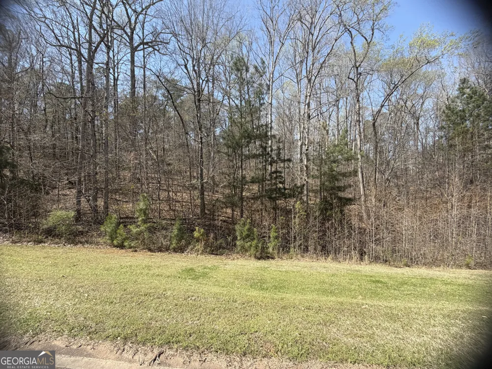 506 Forest Pointe DR Forsyth, GA 31029