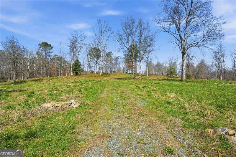 2201 Long RD Ball Ground, GA 30107