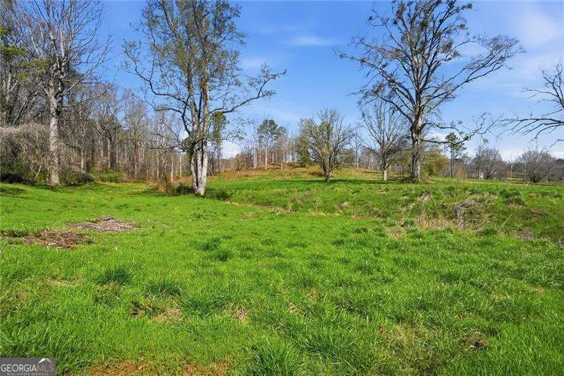 2201 Long RD Ball Ground, GA 30107