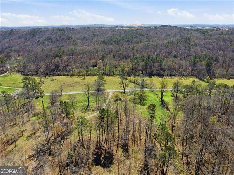 2201 Long RD Ball Ground, GA 30107