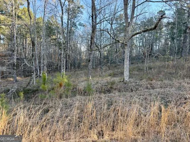 0 River Ridge TRL Sparta, GA 31087