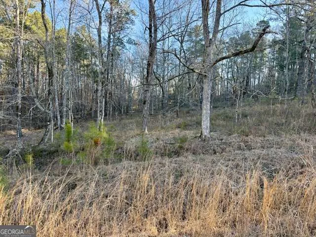 0 River Ridge TRL Sparta, GA 31087