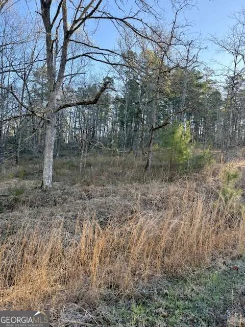 0 River Ridge TRL Sparta, GA 31087