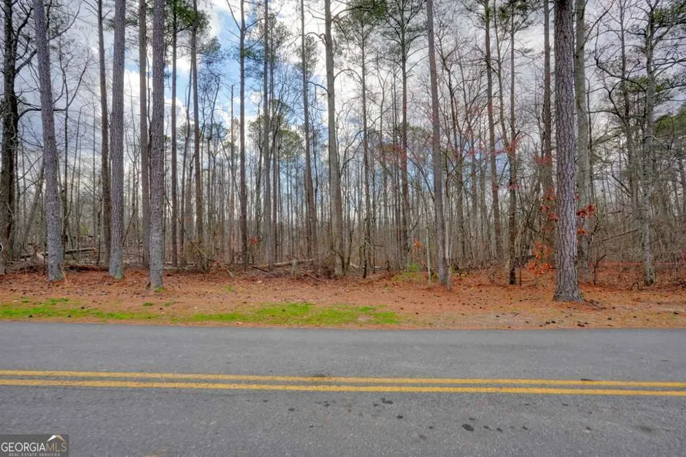 8241 Bow TRL Woodstock, GA 30188