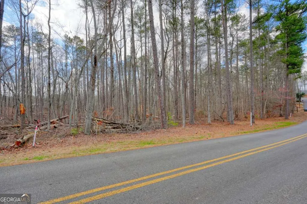 8241 Bow TRL Woodstock, GA 30188