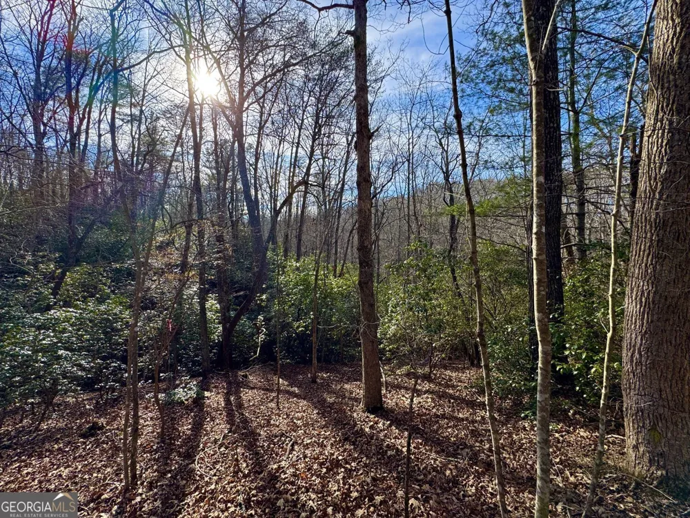 #9 #5 Bethany RD Jasper, GA 30143