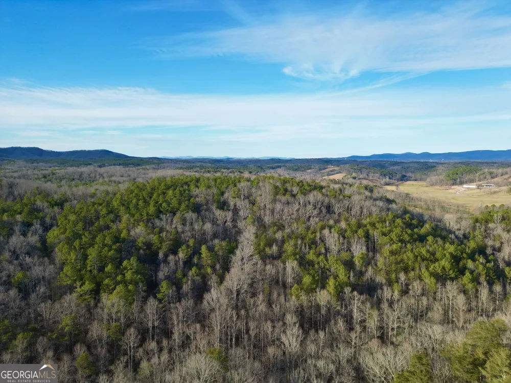 #9 #5 Bethany RD Jasper, GA 30143