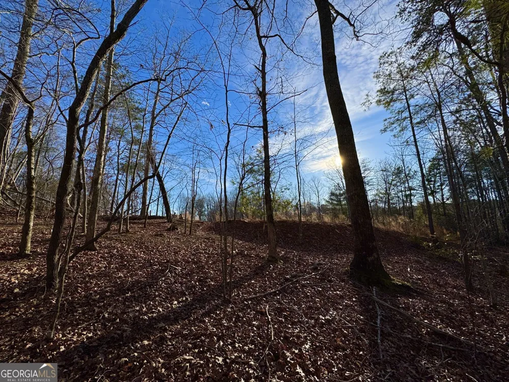 #9 #5 Bethany RD Jasper, GA 30143