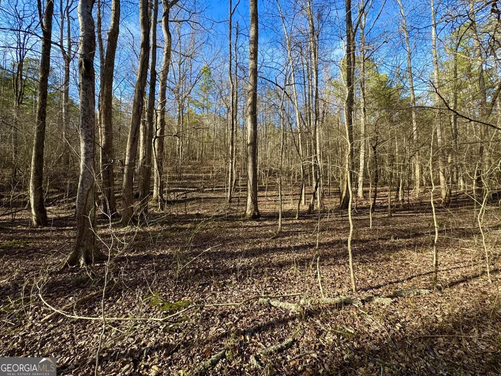 #9 #5 Bethany RD Jasper, GA 30143