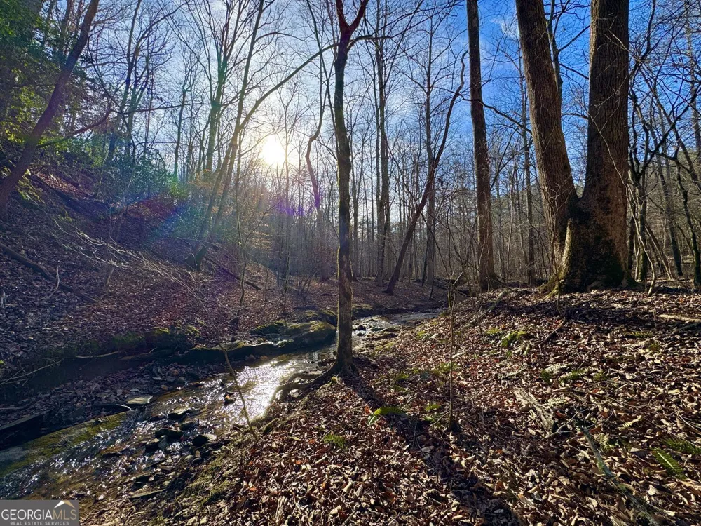 #9 #5 Bethany RD Jasper, GA 30143