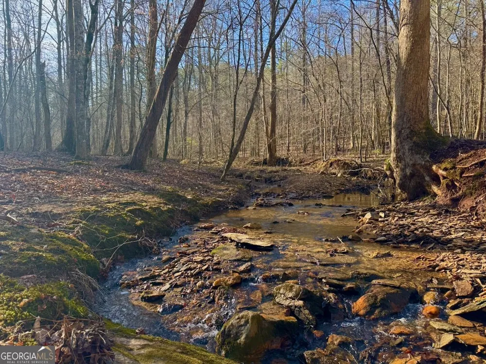 #9 #5 Bethany RD Jasper, GA 30143