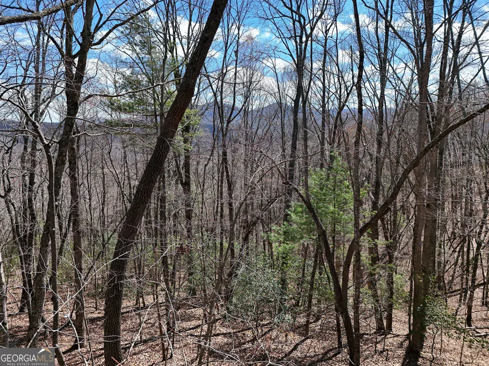 LOT 12 Native TRL Blue Ridge, GA 30513