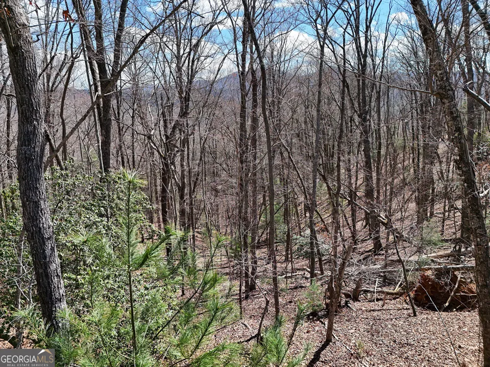 LOT 12 Native TRL Blue Ridge, GA 30513