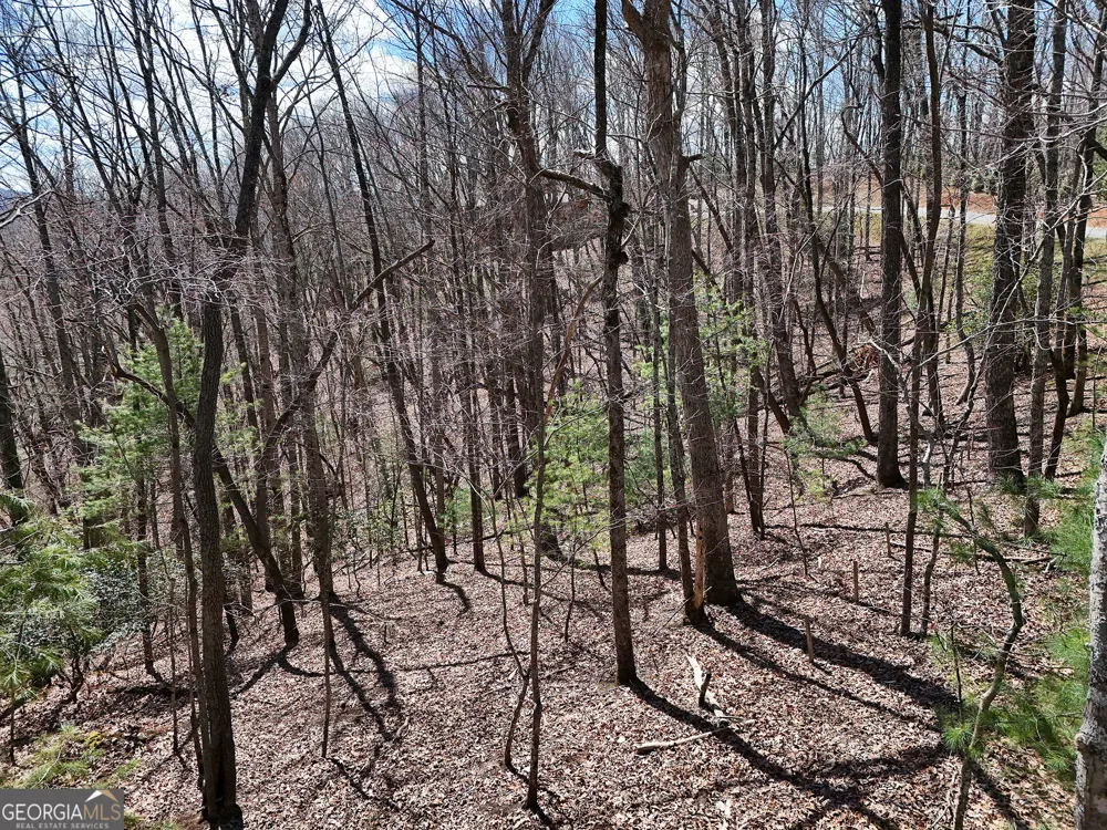 LOT 12 Native TRL Blue Ridge, GA 30513