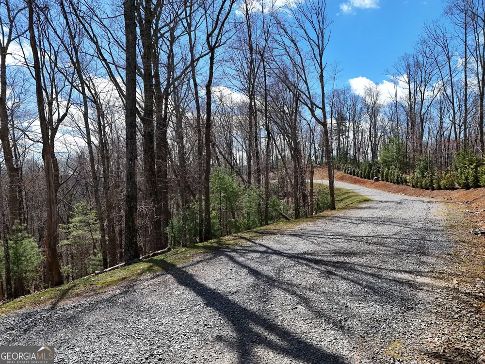 LOT 12 Native TRL Blue Ridge, GA 30513