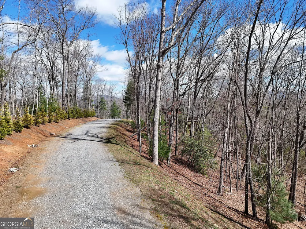 LOT 12 Native TRL Blue Ridge, GA 30513