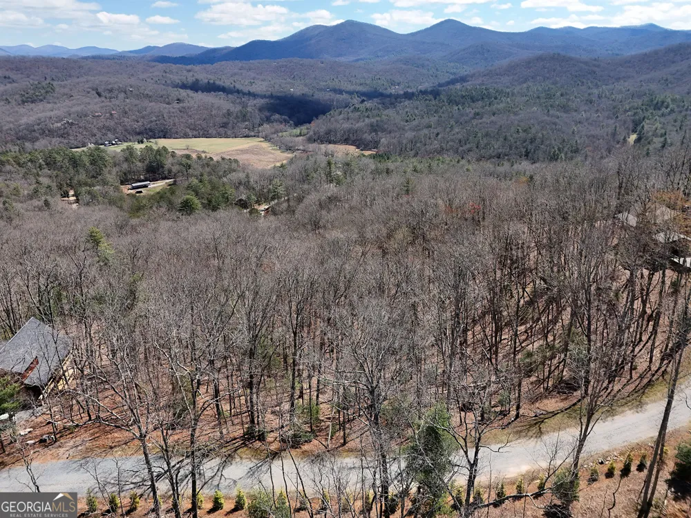 LOT 12 Native TRL Blue Ridge, GA 30513