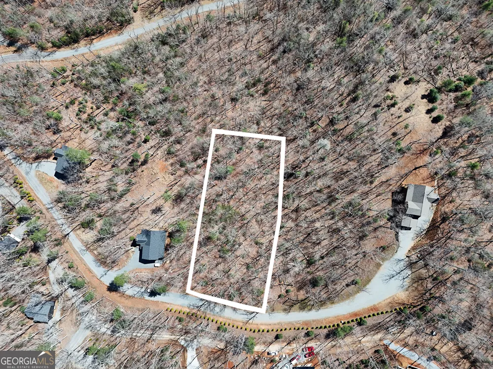 LOT 12 Native TRL Blue Ridge, GA 30513