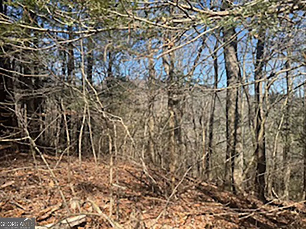 LOT 14 Butler Creek RD Cherry Log, GA 30522